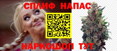 мдпв Малгобек