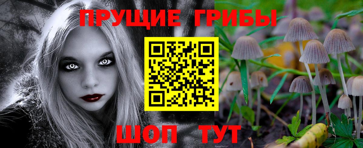 Галлюциногенные грибы Psilocybine cubensis Полысаево