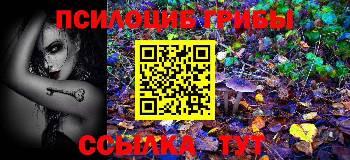 Галлюциногенные грибы GOLDEN TEACHER  Вход с VPN  Полысаево 